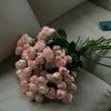 rxll7.i0
