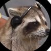 racoons.in.music