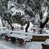 rayan84686