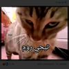 taimnasser4