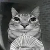 gabrieledavolio78
