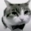 otro_samuel_random