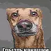 username691488