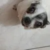iomichiamoluisamancasimp