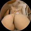 sarah_bonnie14