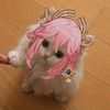 mikoomp