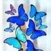 fibianemartins982