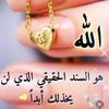 user50906633599761