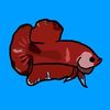 fish_tanks_anonymous