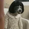 amluu11