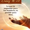 joannabeatrizgonz8
