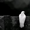 _simply.jahid
