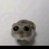 jdpantoja3.z