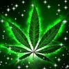 u.hpone.zawmdy