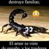 ignaciohinojosa34