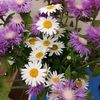 svet_11_08_19