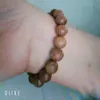 tayninh258