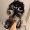 ms_sofia10