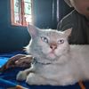 denpratama123