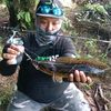 aleong281
