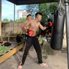 dantruongbichdu