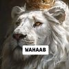 abdifarah52