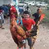 userpb6cpnerma