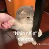 usermpfduf3zoz