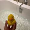 nw_311