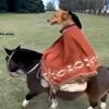 3aiez_2nam