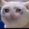 usera7mus54xnq