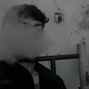 37.3h
