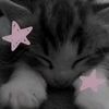user45829urmom