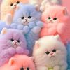 catlove878
