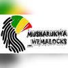 Musharukwa_wemalocs_zim🇿🇼