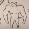 bamerveronica