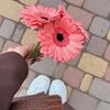 🤎🌺
