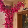chahrazadelhadouchi0