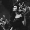 thedogglady