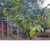user5dv19kd42u