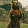 beartactics31