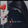 daryarabar246