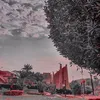 zozo__875