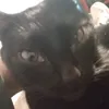 tu_ma_malinda