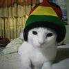 romanokkkkjj