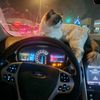 ilove_riyadh