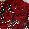 heila_21