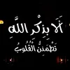user8140338518195
