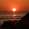 andyastropics