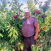 75_nelu_nelus